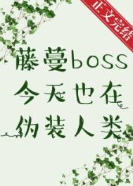 绫罗夫人